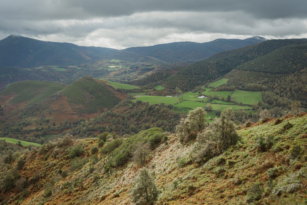 Nuevos proyectos como una Libreta Fotográfica del Camino de Santiago